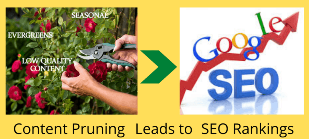 Content Pruning SEO Title